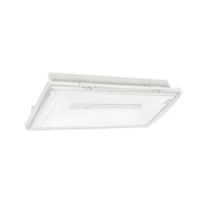 EVOLUX NRG+ 4W WL/CL Safety Luminaire