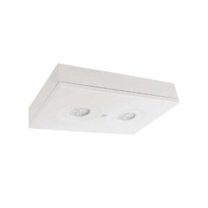 WAYLUX CL Pro NRG+ E Safety Luminaire