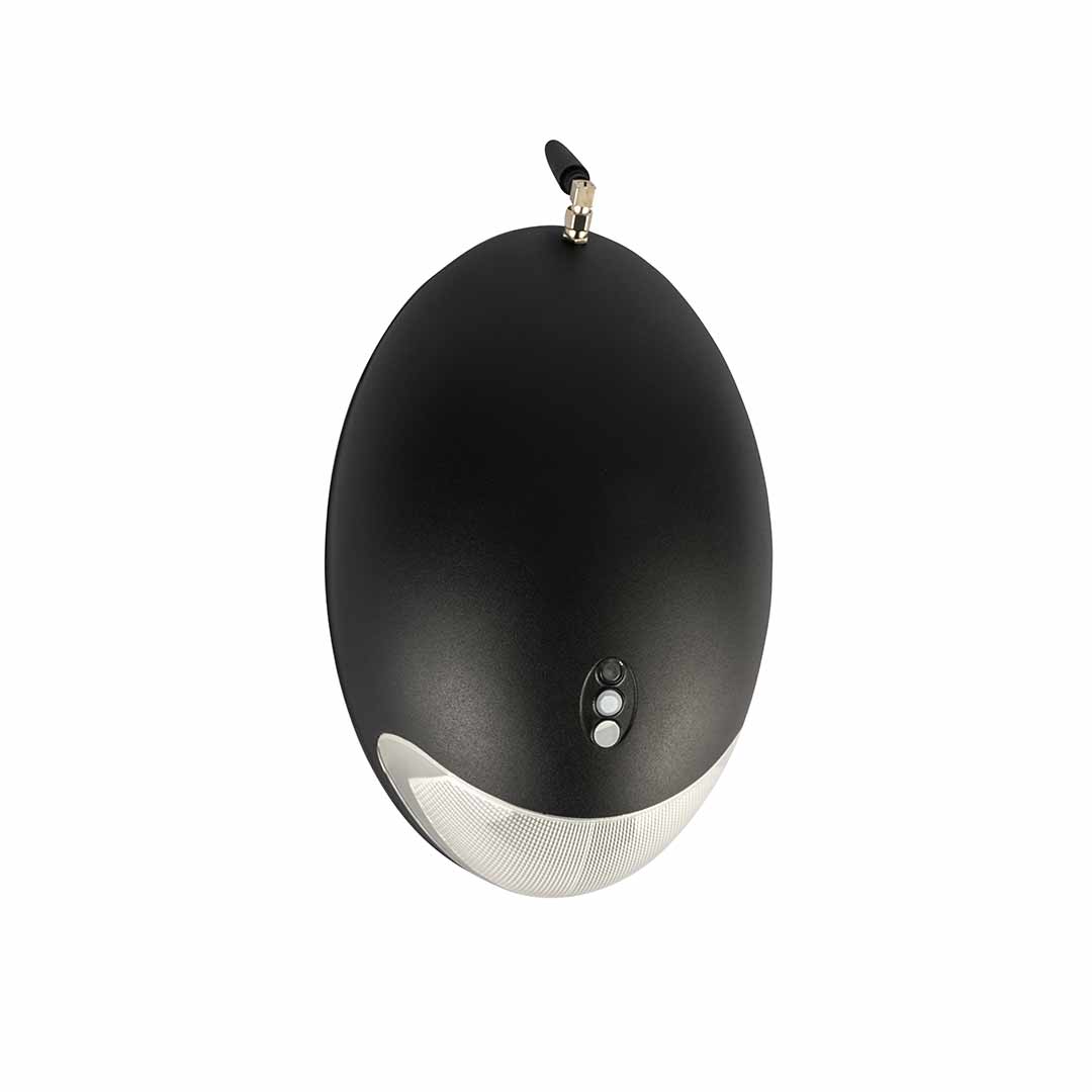 l20034-l21034 Exilux OVALUX IP65 Safety Luminaire