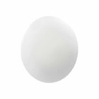 Exilux DECOLUX Safety Luminaire